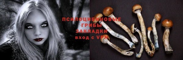 героин Белокуриха