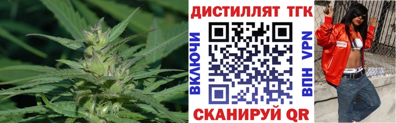 закладка  Козельск  ТГК жижа 