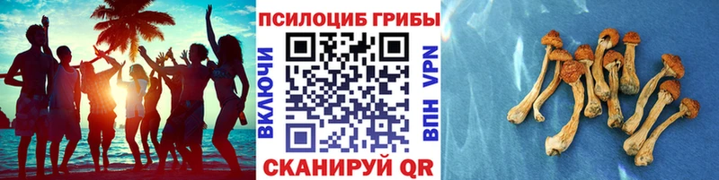Галлюциногенные грибы GOLDEN TEACHER  даркнет сайт  Козельск 